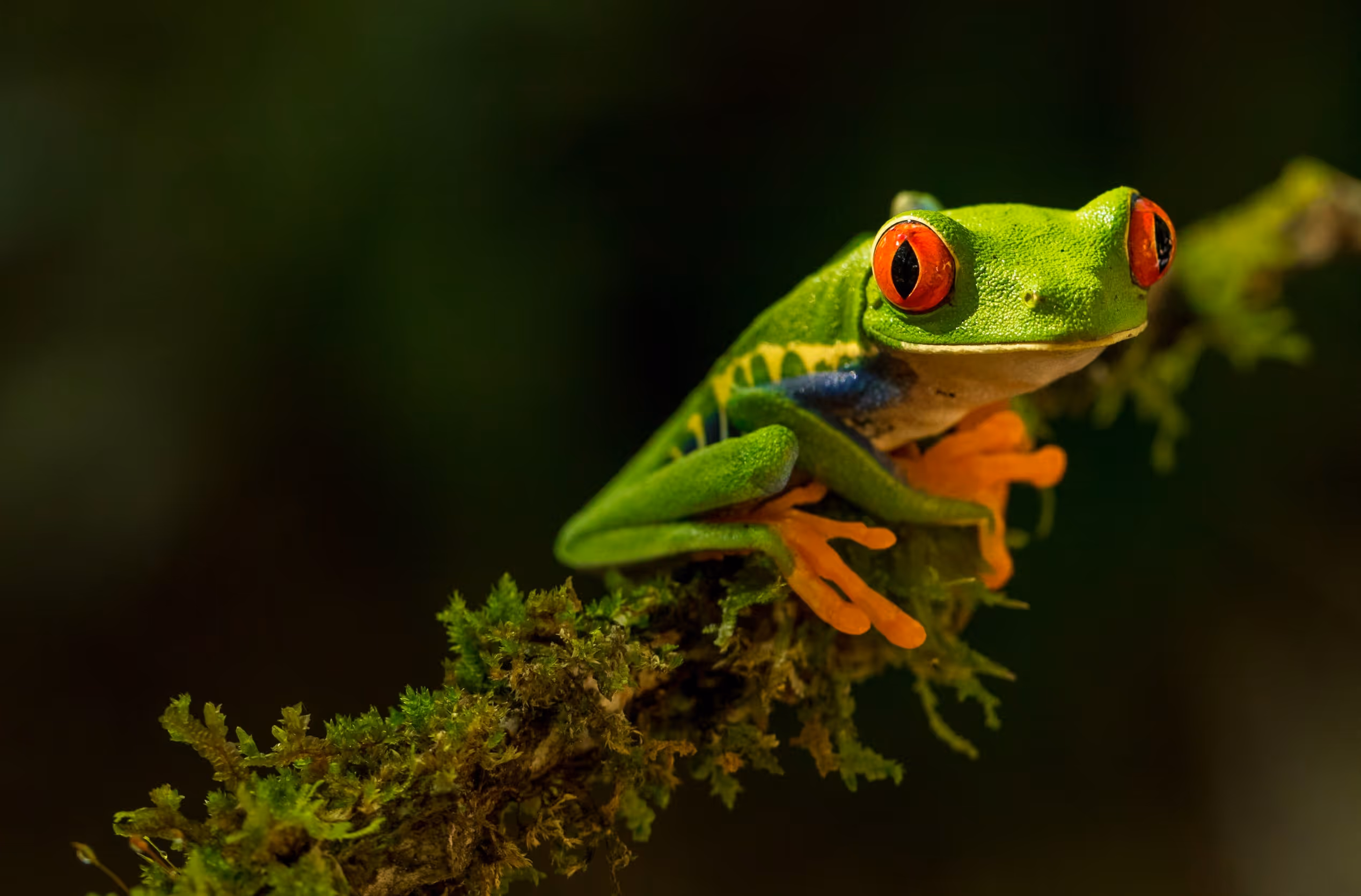 Biodiversity