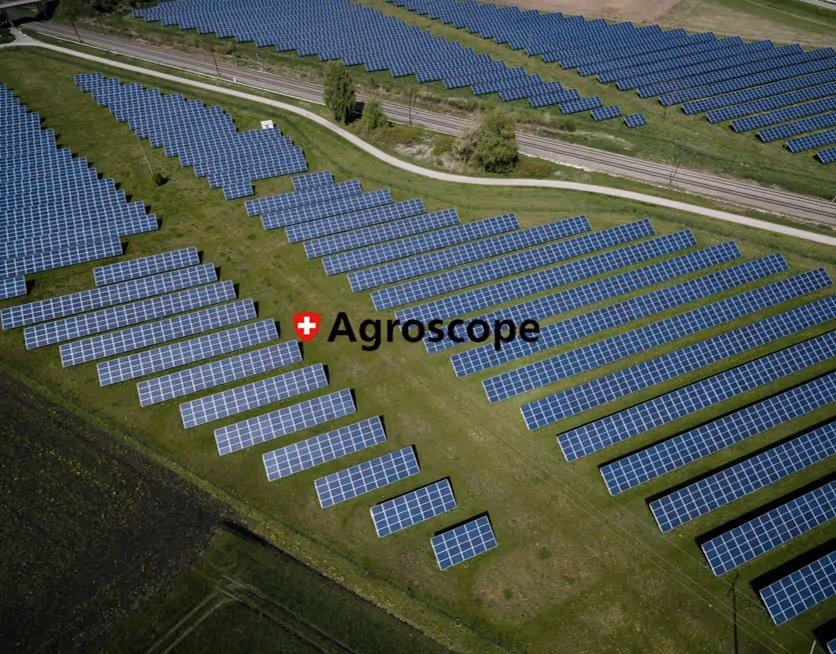 Aerial image of solar panels above crops in Germany