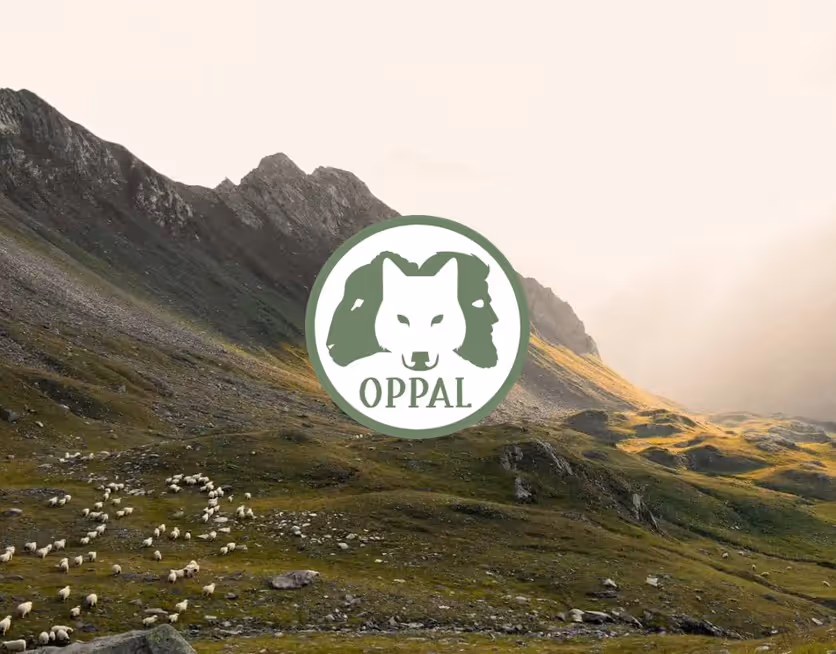 OPPAL MonDe WolfCam