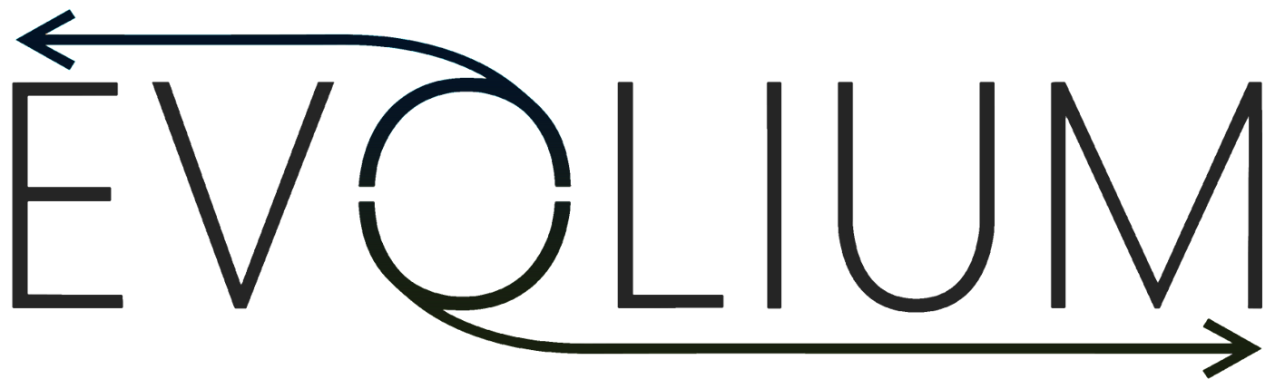 Logo of a partner company