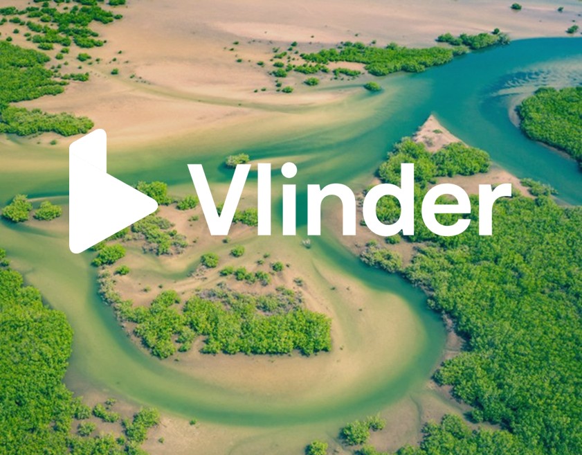 Vlinder Mangrove Reforestation Kenya