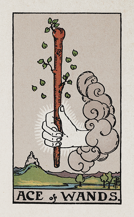 Ace of Wands