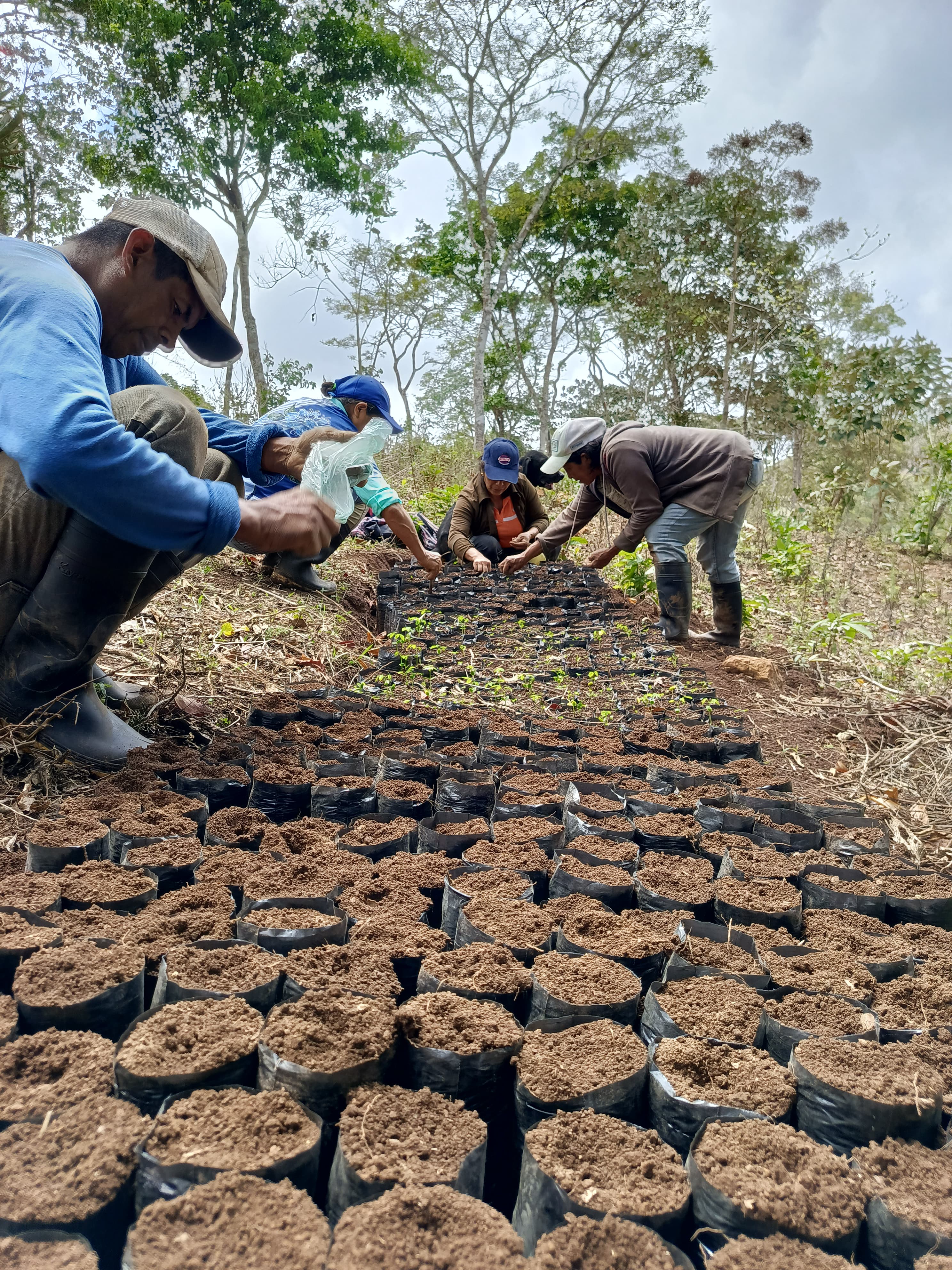 Greening the Central American Dry Corridor: Watershed Restoration in Nicaragua 