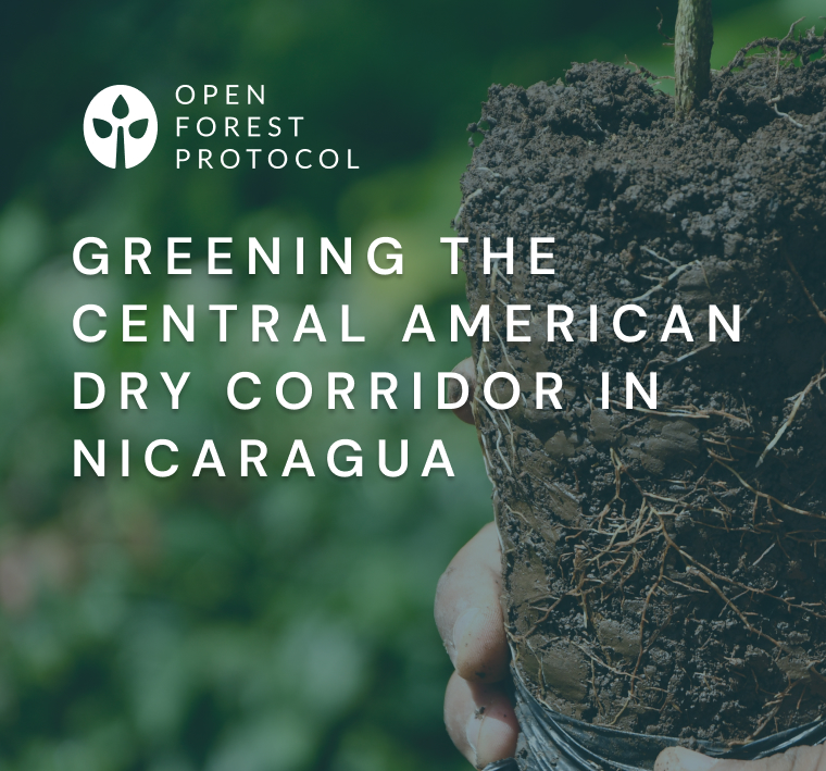 Greening the Central American Dry Corridor: Watershed Restoration in Nicaragua 