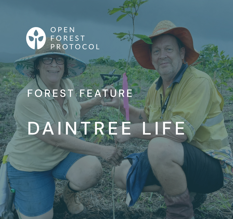 Daintree Life: Rejuvenating a Rainforest in Australia 
