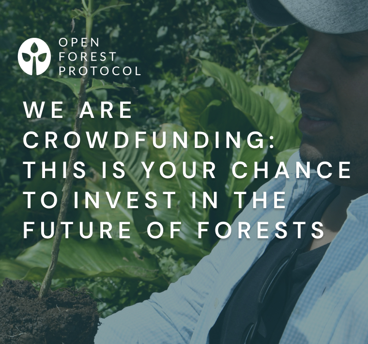 We Are Crowdfunding: This is Your Chance to Invest in the Future of Forests