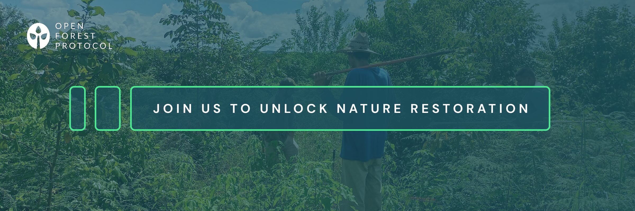 We Are Crowdfunding: This is Your Chance to Invest in the Future of Forests