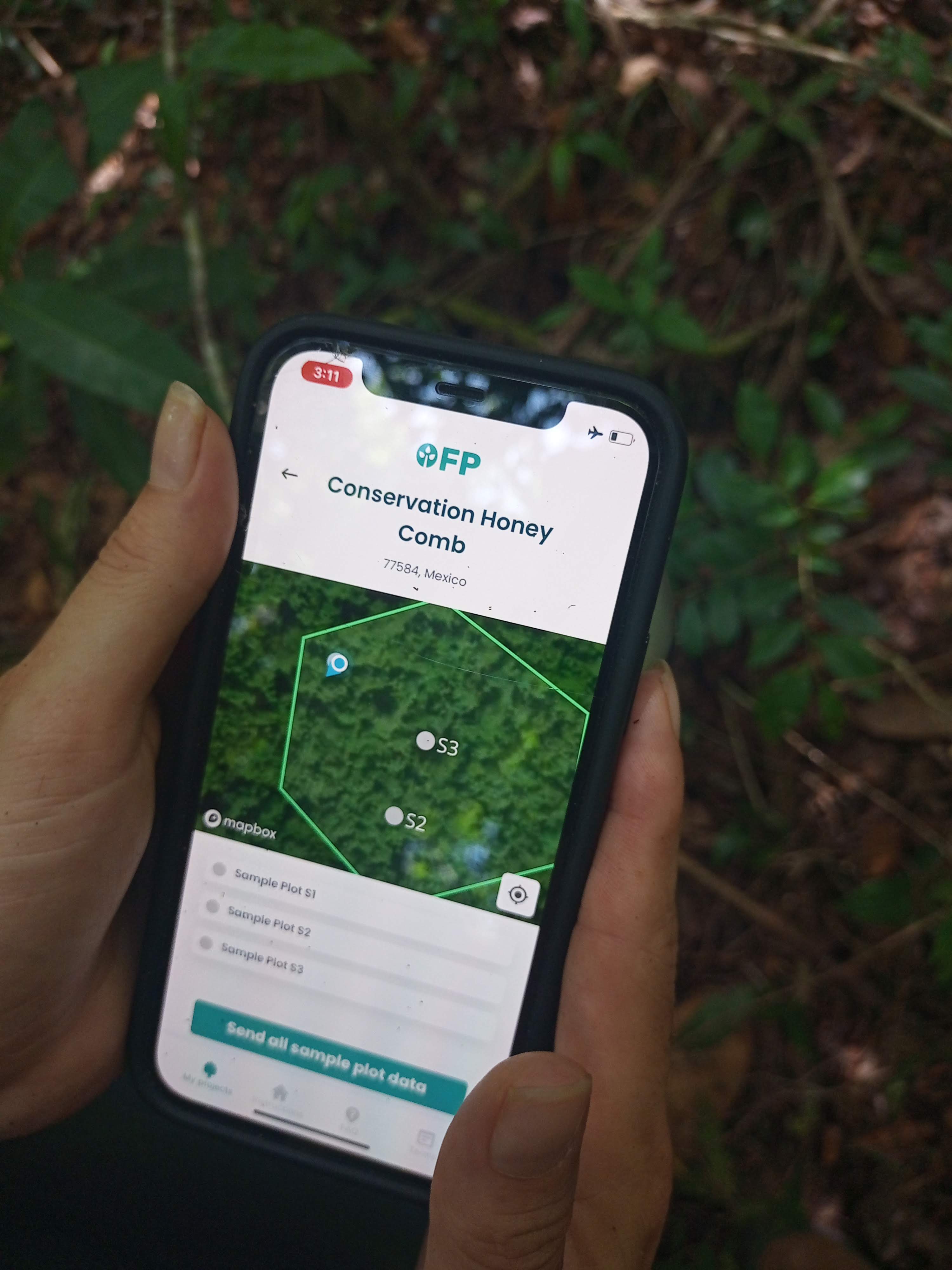 We Are Crowdfunding: This is Your Chance to Invest in the Future of Forests