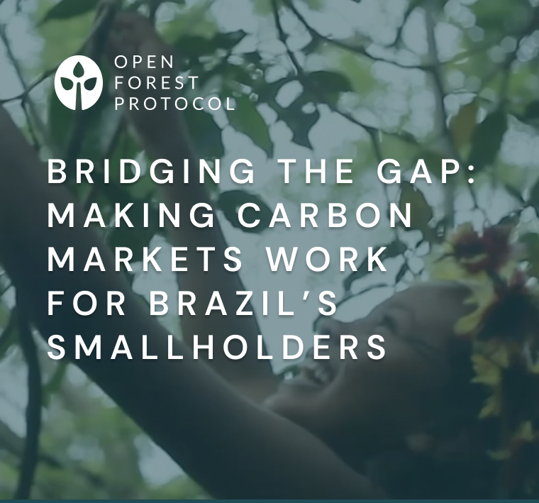 Bridging the Gap: Making Carbon Markets Work for Brazil’s Smallholders