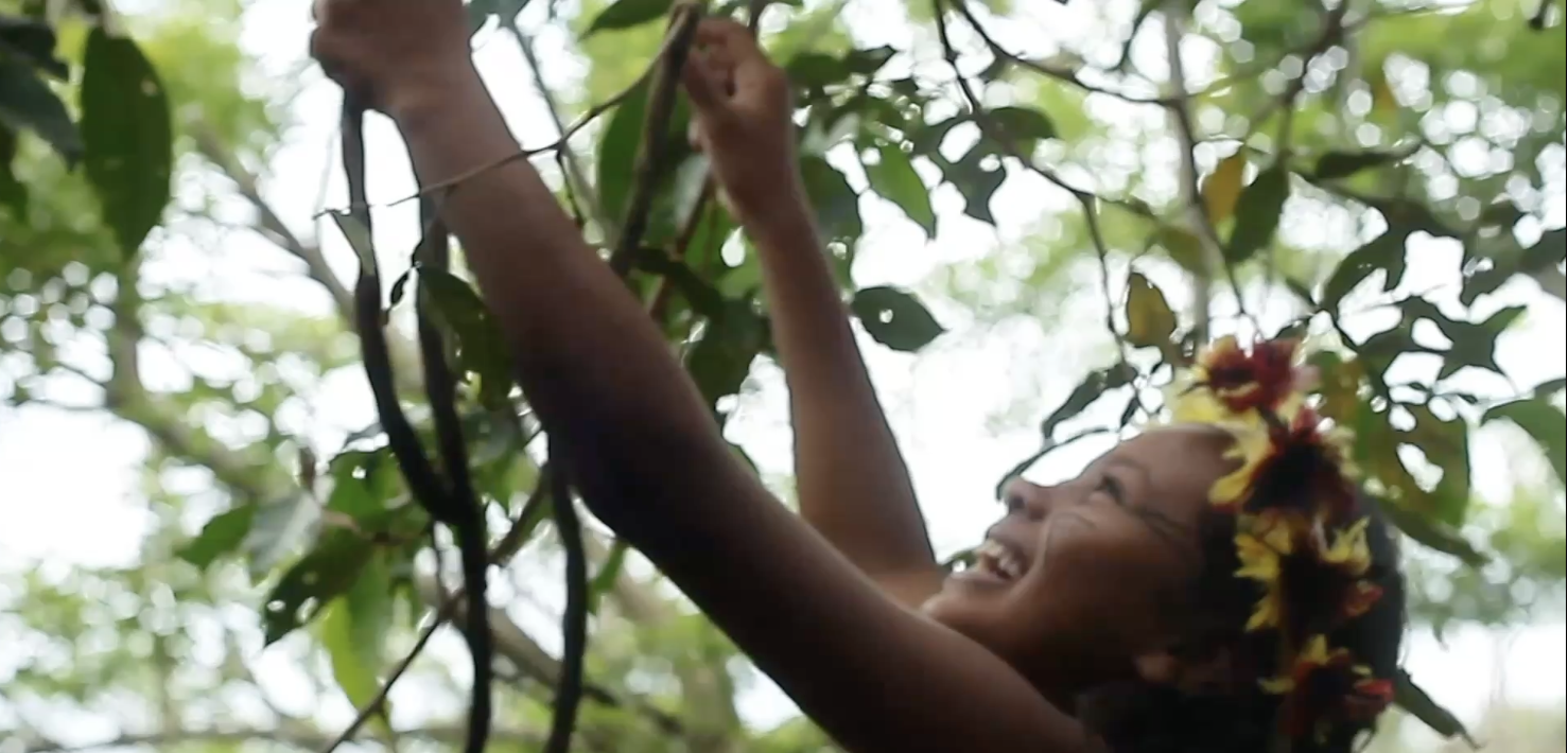 Bridging the Gap: Making Carbon Markets Work for Brazil’s Smallholders