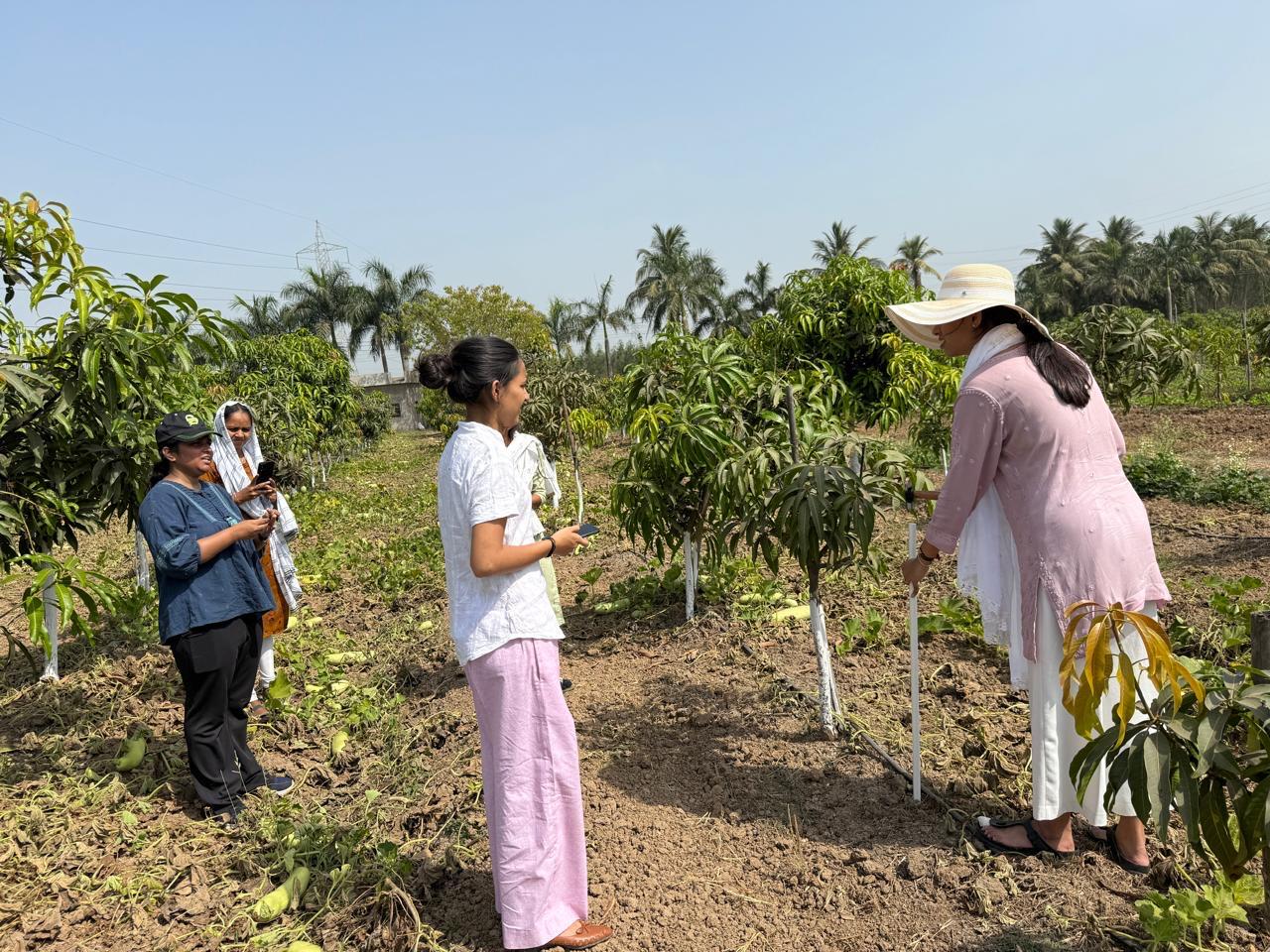 The Agroforestry Project Bringing Indian Farmers into the Global Carbon Economy