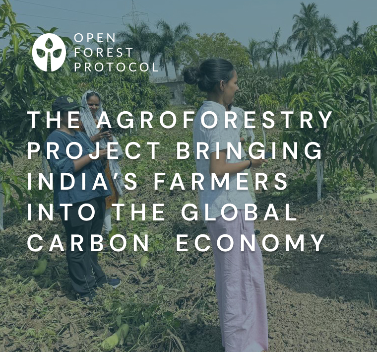 The Agroforestry Project Bringing Indian Farmers into the Global Carbon Economy