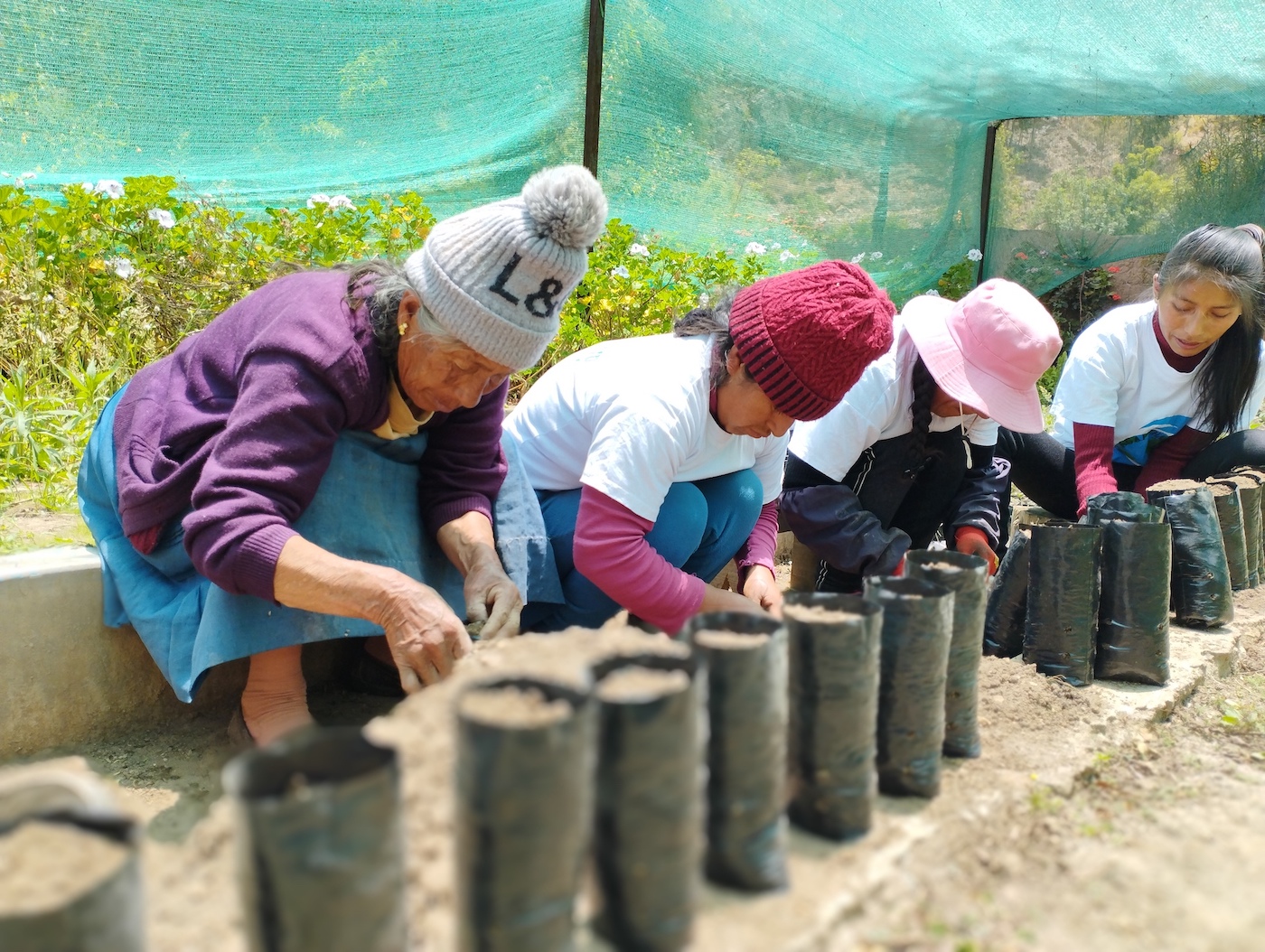 In Peru’s Most Isolated Regions, Forests Are a Life Source