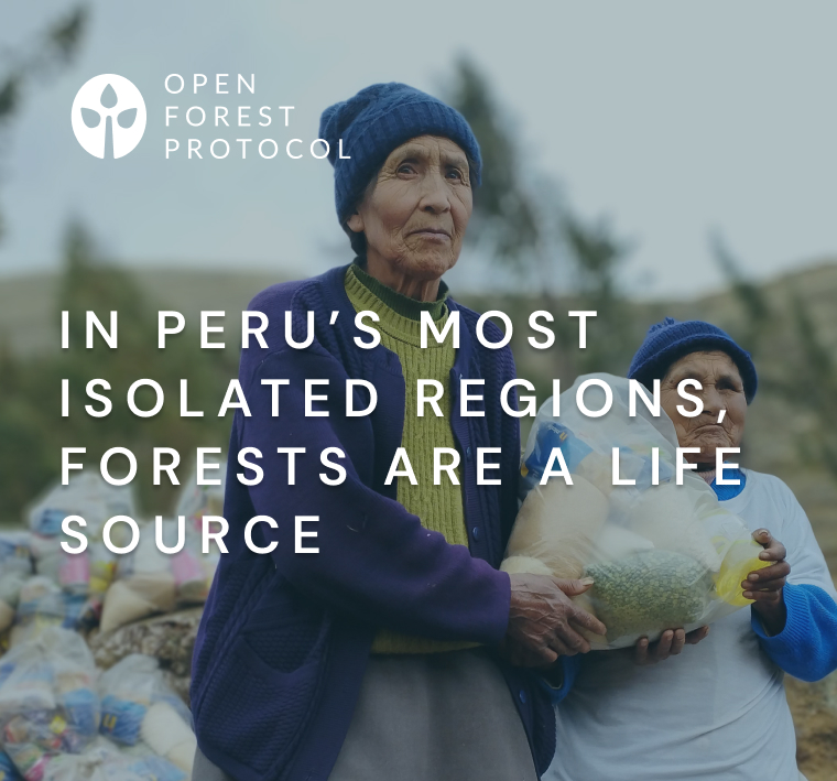 In Peru’s Most Isolated Regions, Forests Are a Life Source 
