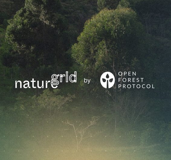 Introducing NatureGrid by Open Forest Protocol: The Operating System for Nature Monitoring 