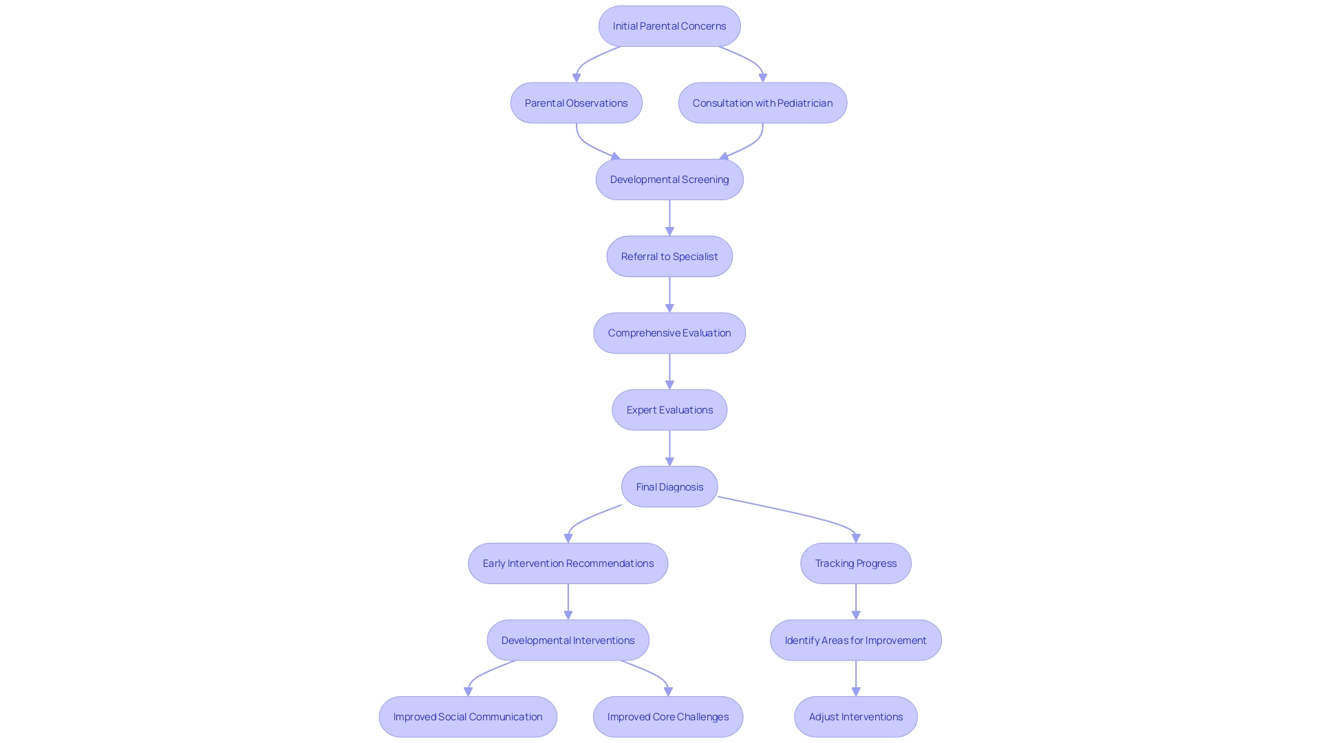 This flowchart illustrates the diagnostic process for autism, highlighting key steps and sources of information involved.