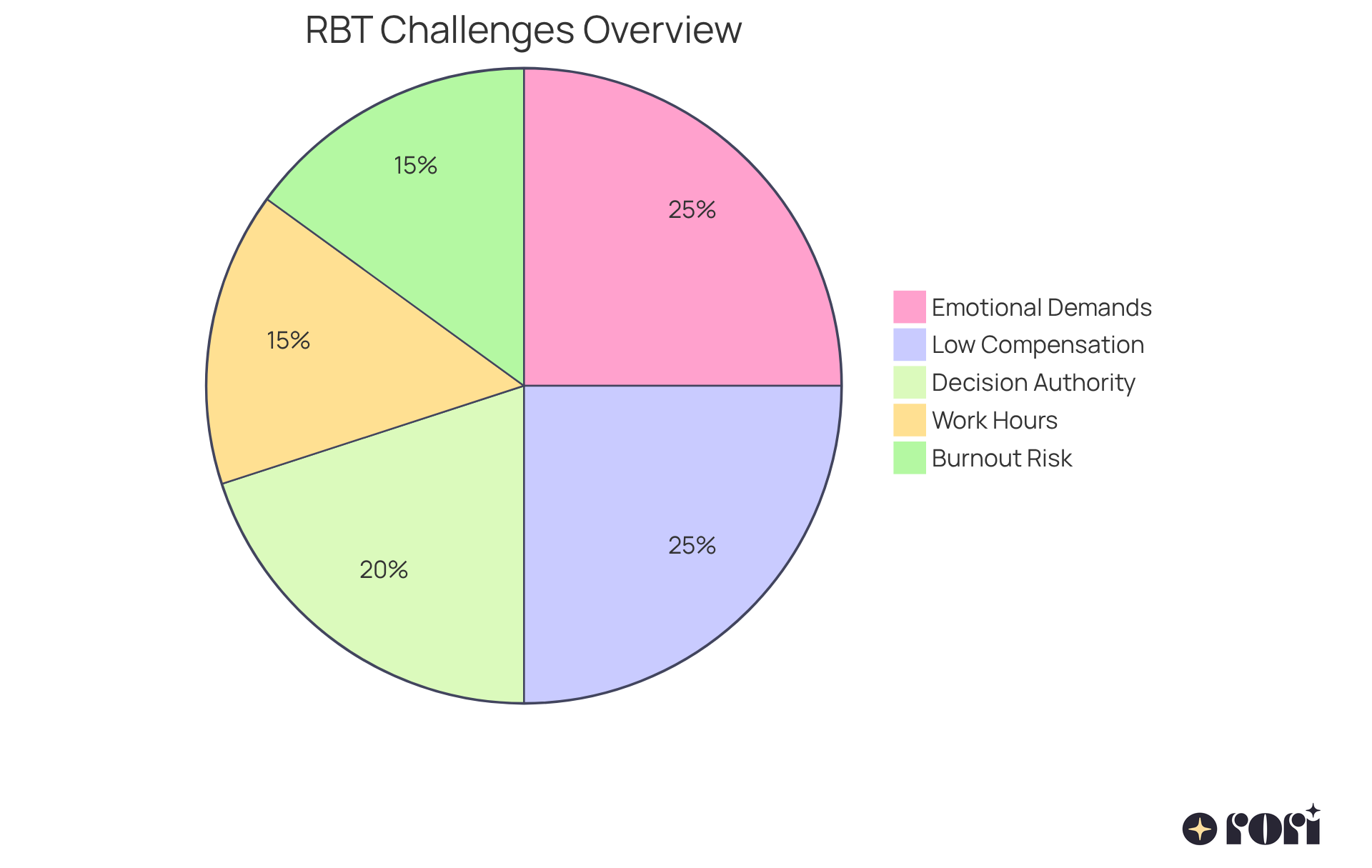Each slice of the pie represents a challenge RBTs encounter in their roles. The size of each slice indicates how significant that challenge is compared to the others — larger slices mean greater issues.