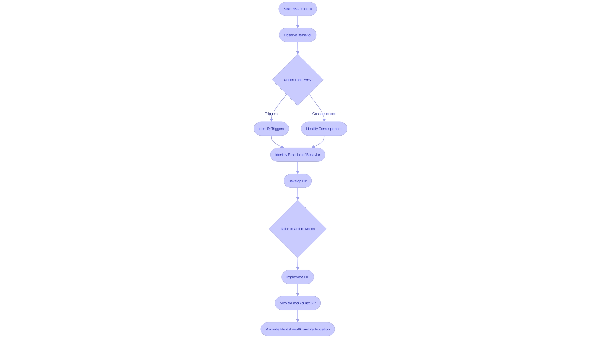 Flowchart: Functional Behavior Assessment Process
