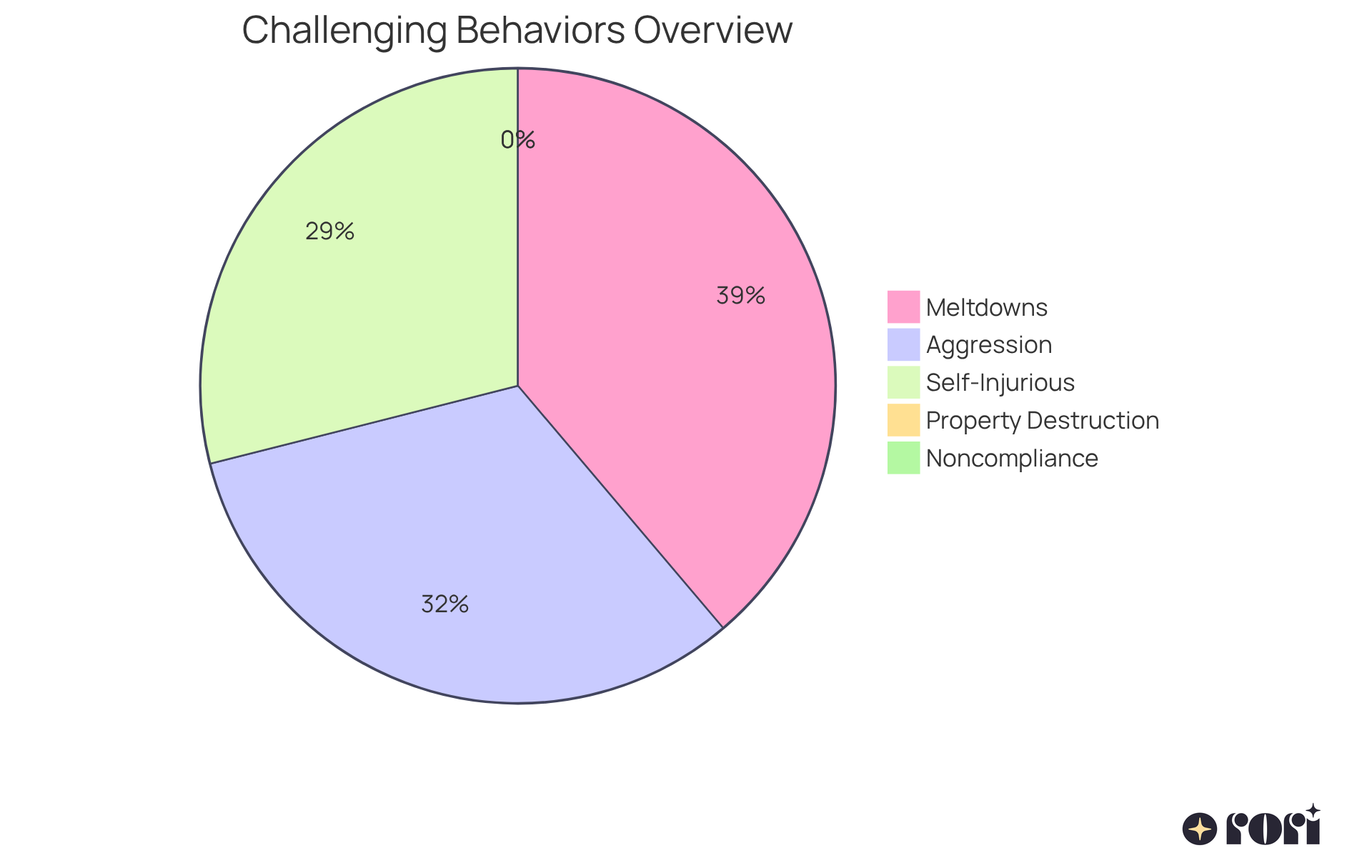Each slice represents a type of challenging behavior experienced by children with autism. The size of each slice shows how common that behavior is — the bigger the slice, the more children experience that behavior. Each slice represents a type of challenging behavior experienced by children with autism. The size of each slice shows how common that behavior is — the bigger the slice, the more children experience that behavior.