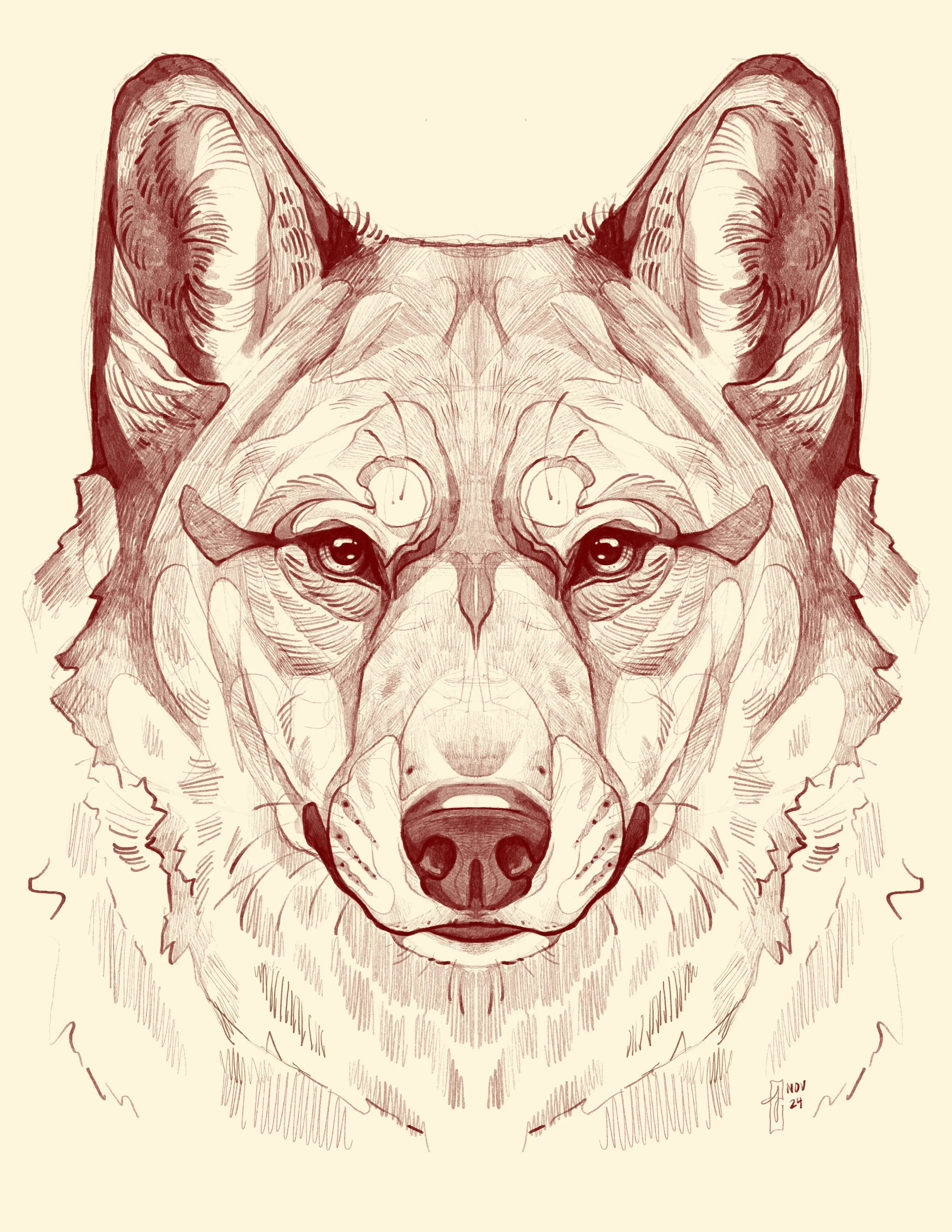 Wolf Drawing