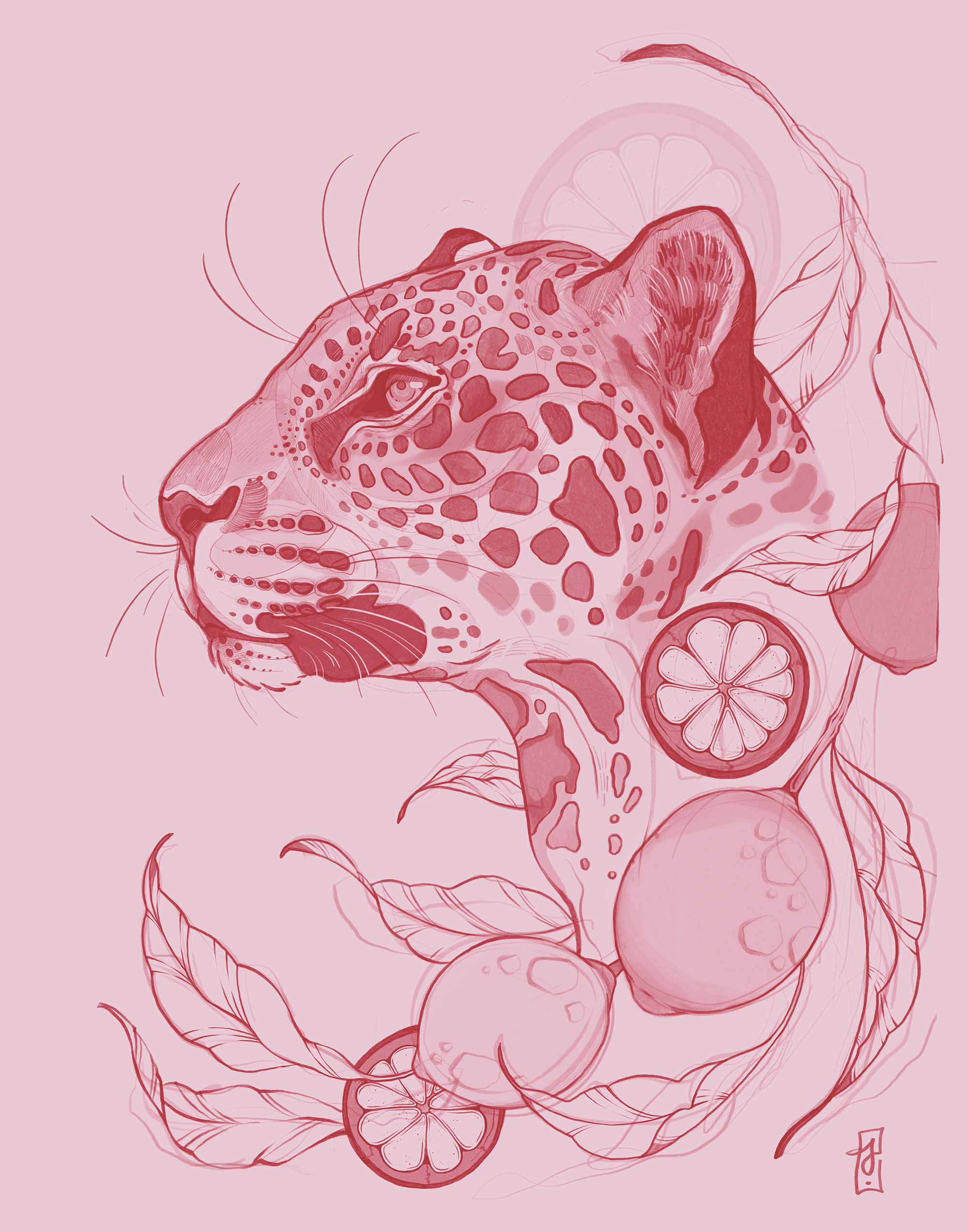 Pink Citrus Leopard