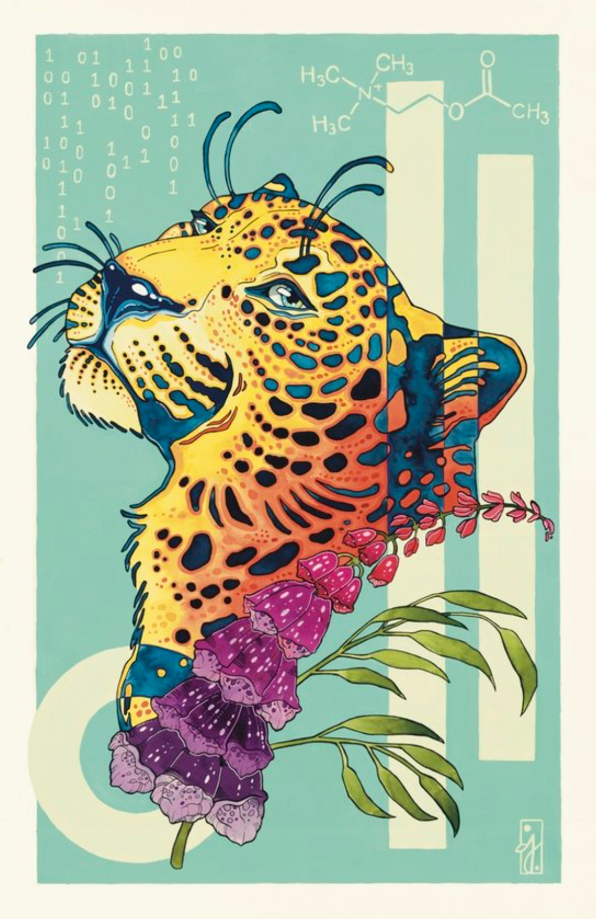 Rainbow Leopard