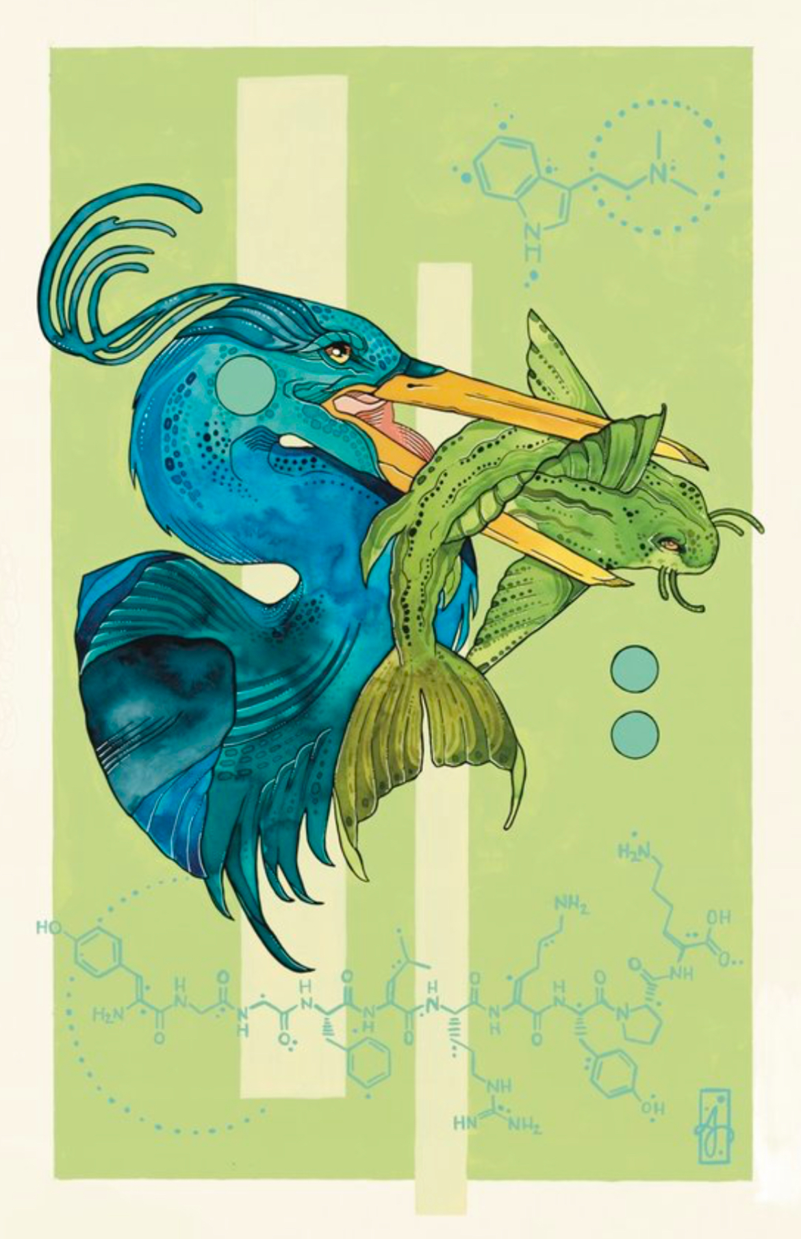 Blue Crane