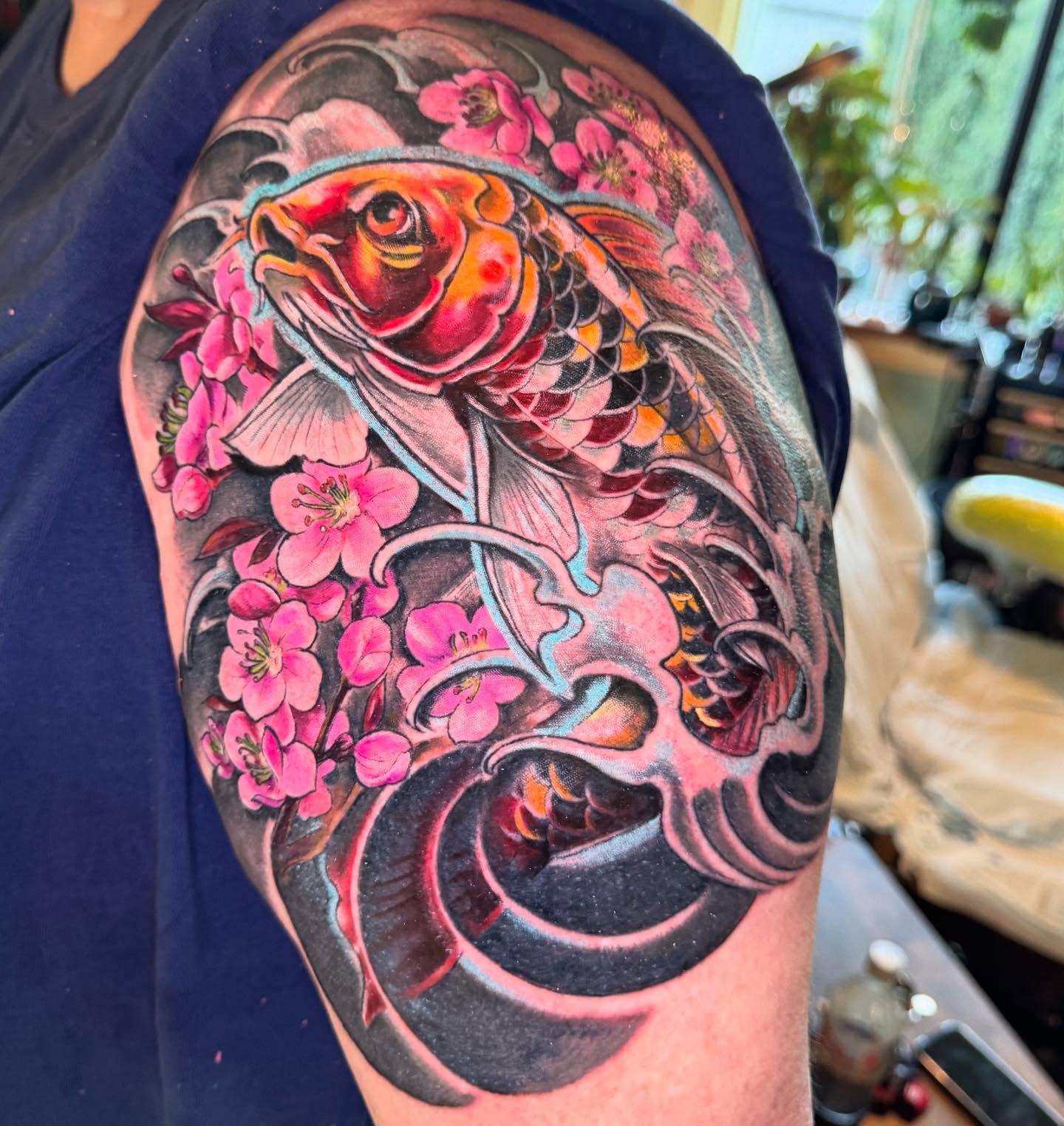 Koi and Cherry Blossoms
