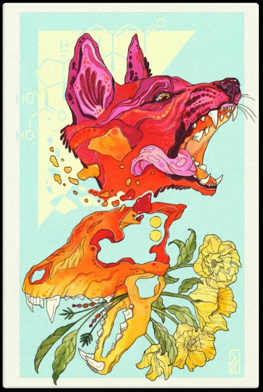 Red Fox and Orange Skull Canvas Art Print By Arianna