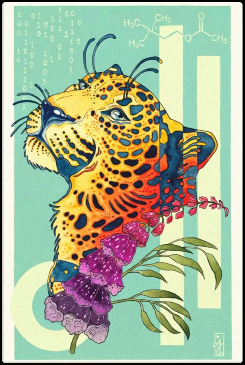 Rainbow Jaguar Flower Canvas Art Print By Arianna