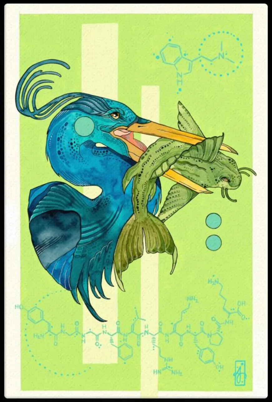 Blue Crane Holding Fish Canvas Art Print By Arianna