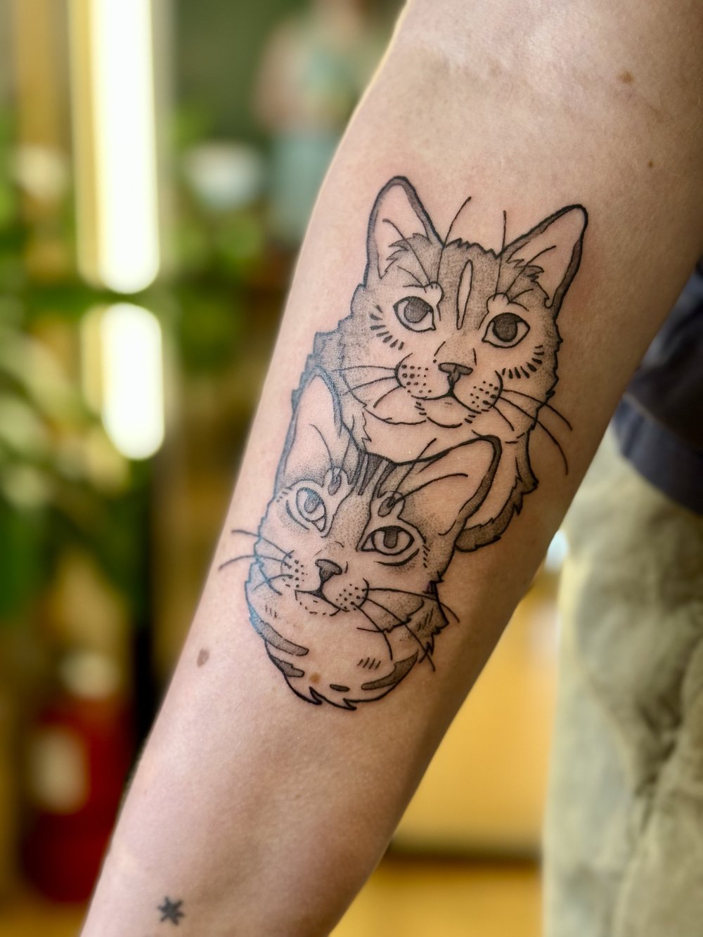 Cat Friends Tattoo