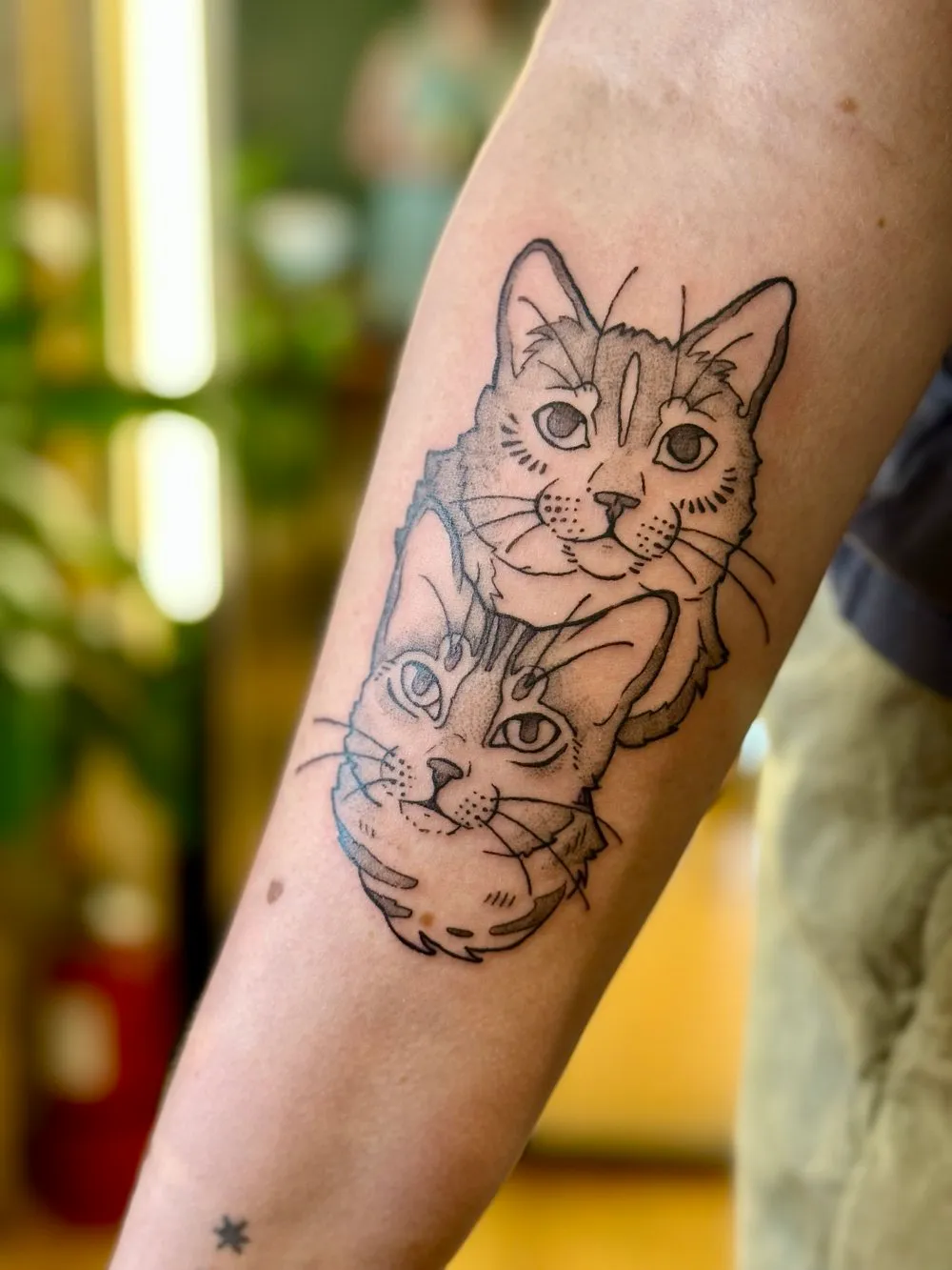 Cat Friends Tattoo