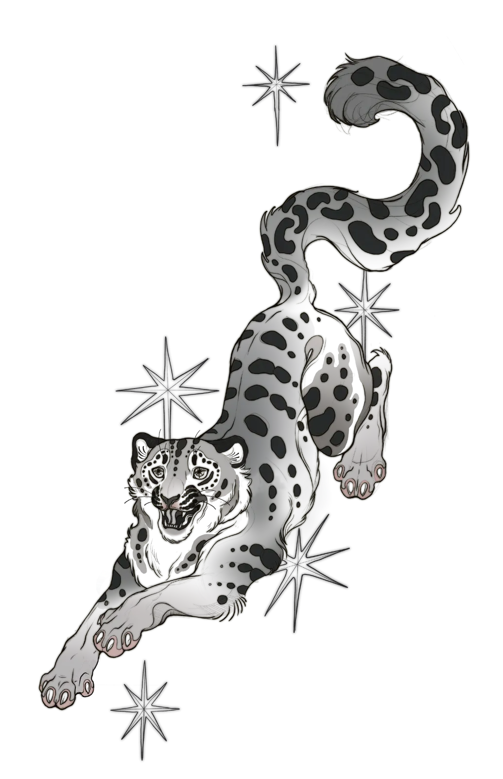 Stretching Leopard