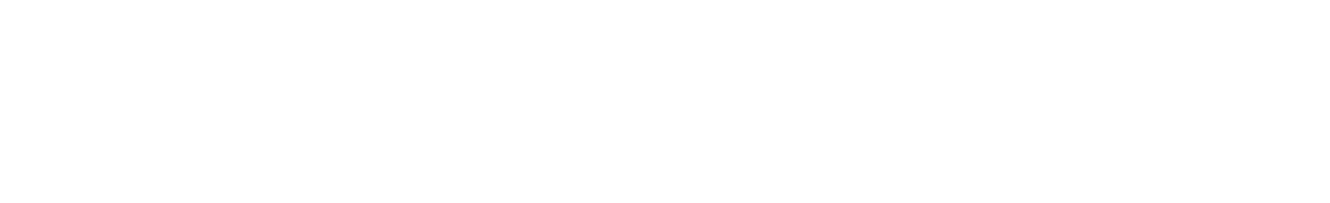 roconsulting logo