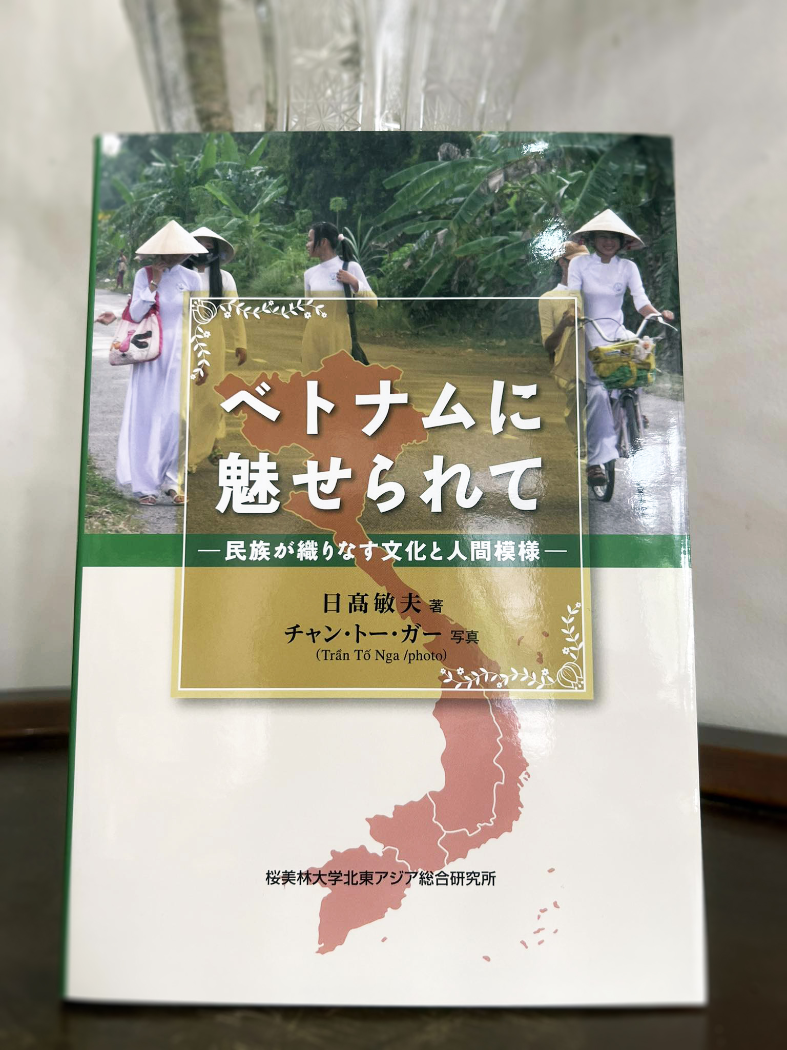 Fascinated by Vietnam cover