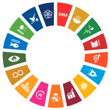 Sustainable development goals description label