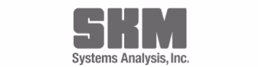 SKM Systems Analysis, Inc. logo