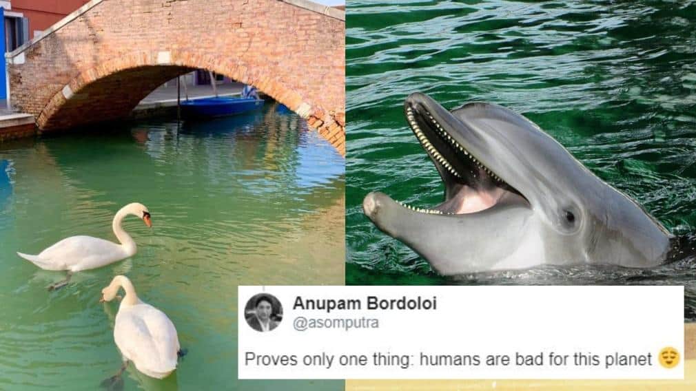 covid-19 nature change