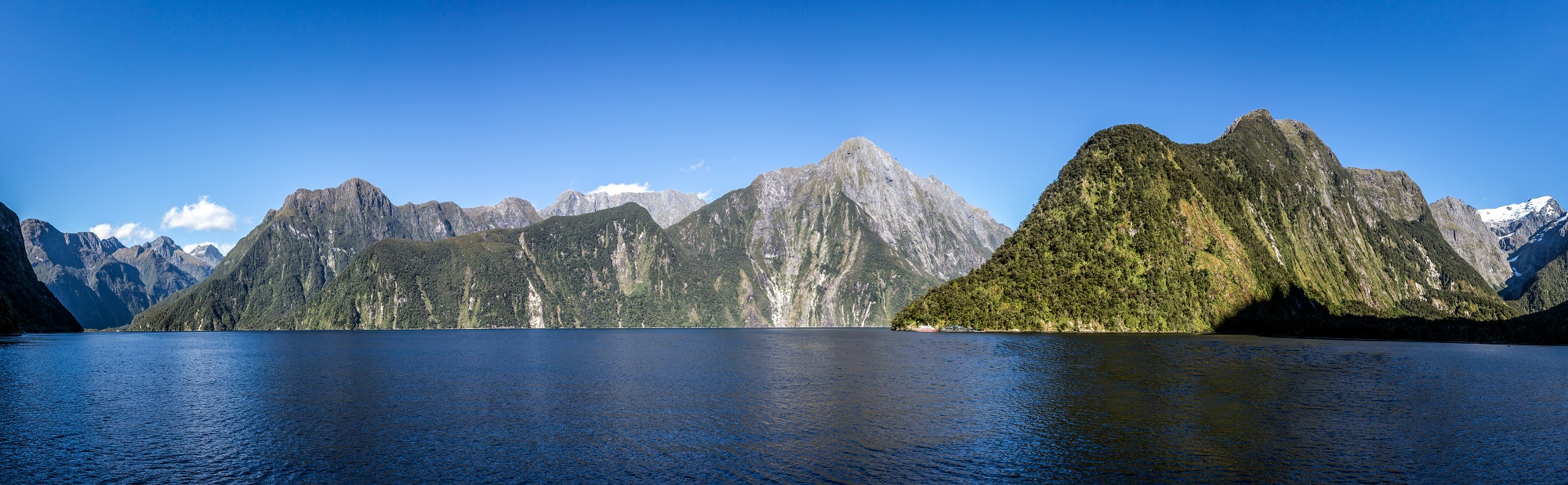 New Experiences In New Zealand