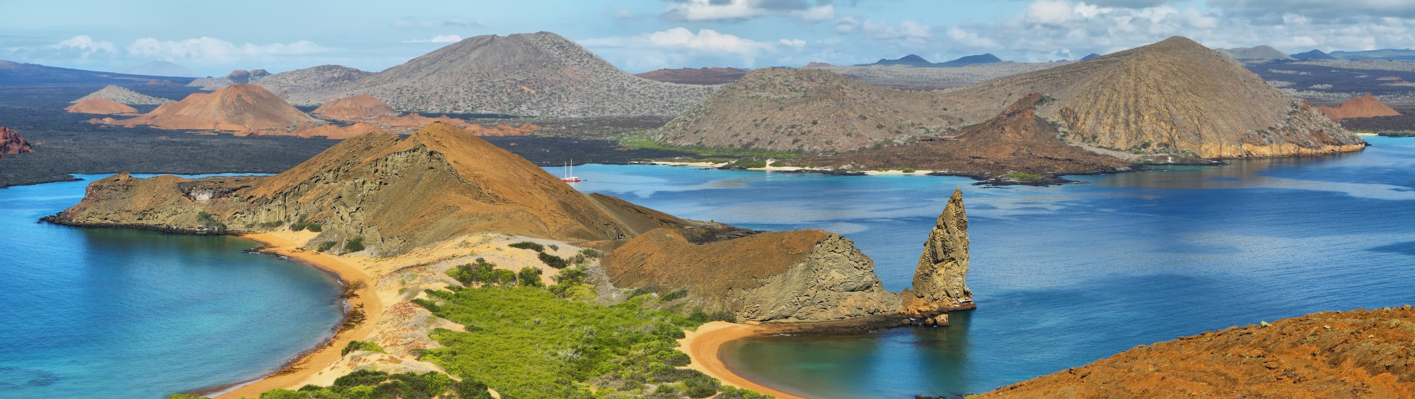 Gallivanting Around The Galapagos