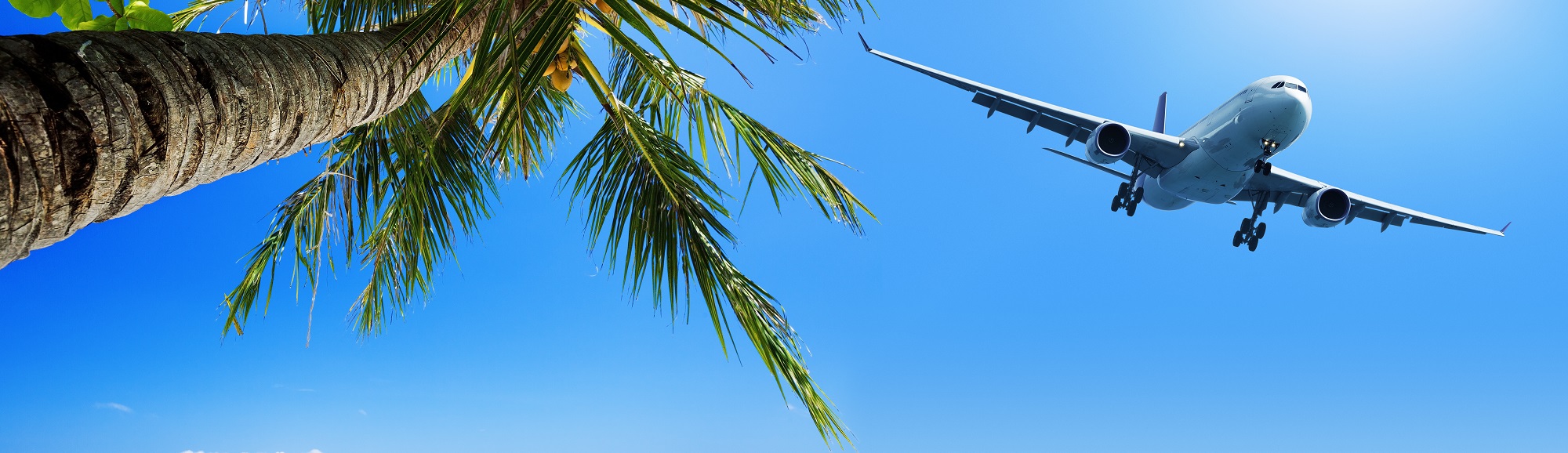 Fred. Olsen Travel Continues Expansion
