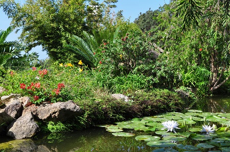 Ischia Botanical Gardens