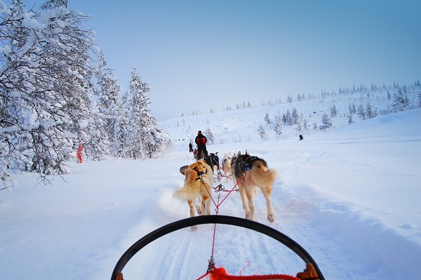 Searching For Santa In Sweden