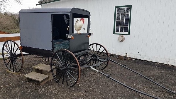 Amish Farm