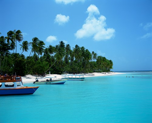 Tobago Boats
