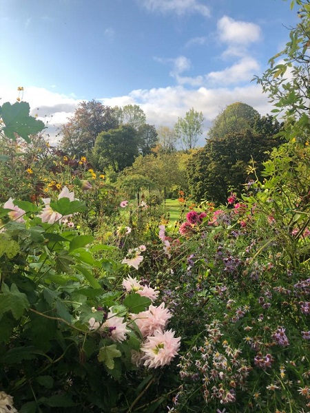 Monet's Garden Jess Robins