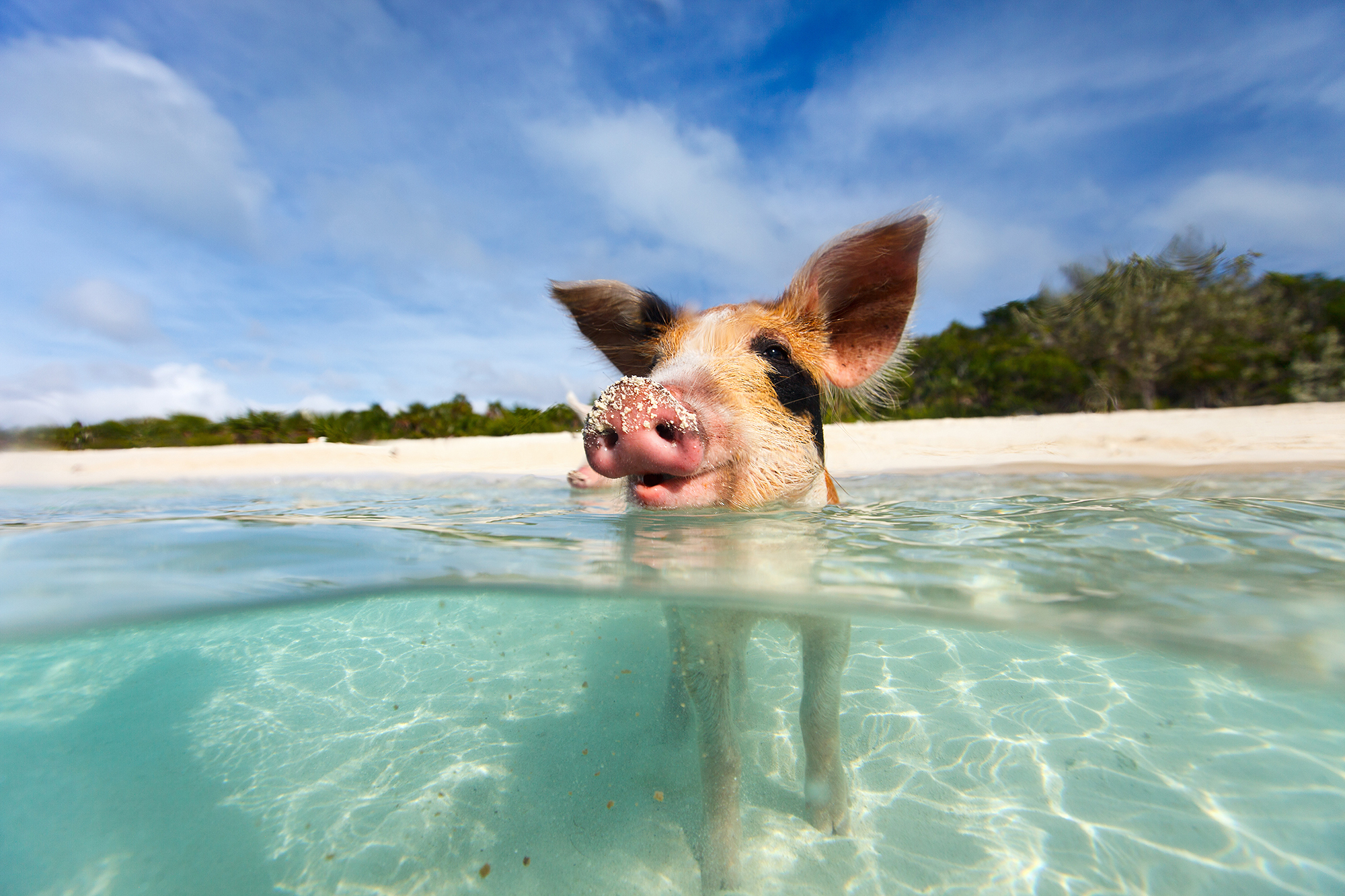 Water-based Wonders of the Caribbean
