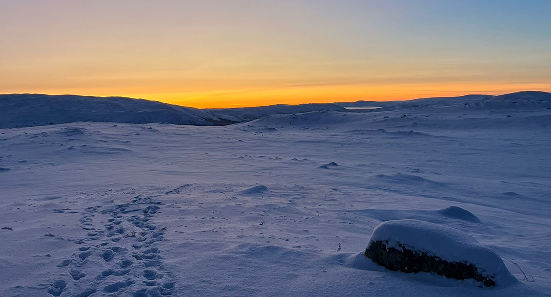 Snowmobile adventures in Lapland