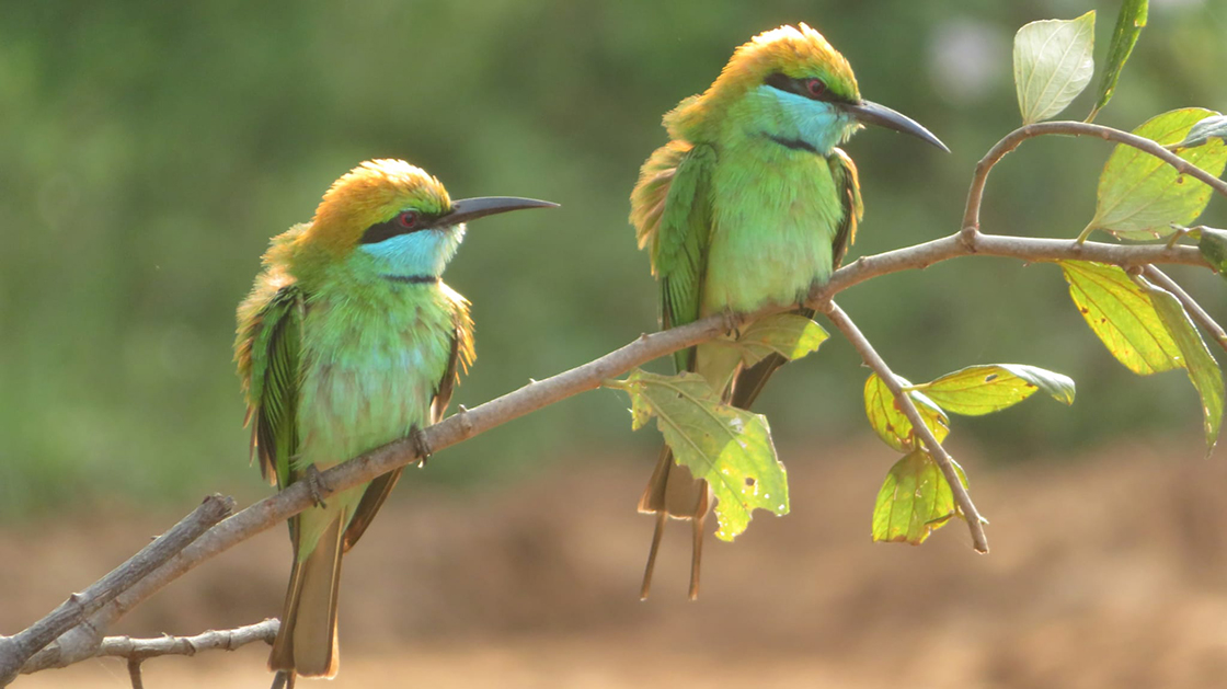 Touring around amazing Sri Lanka